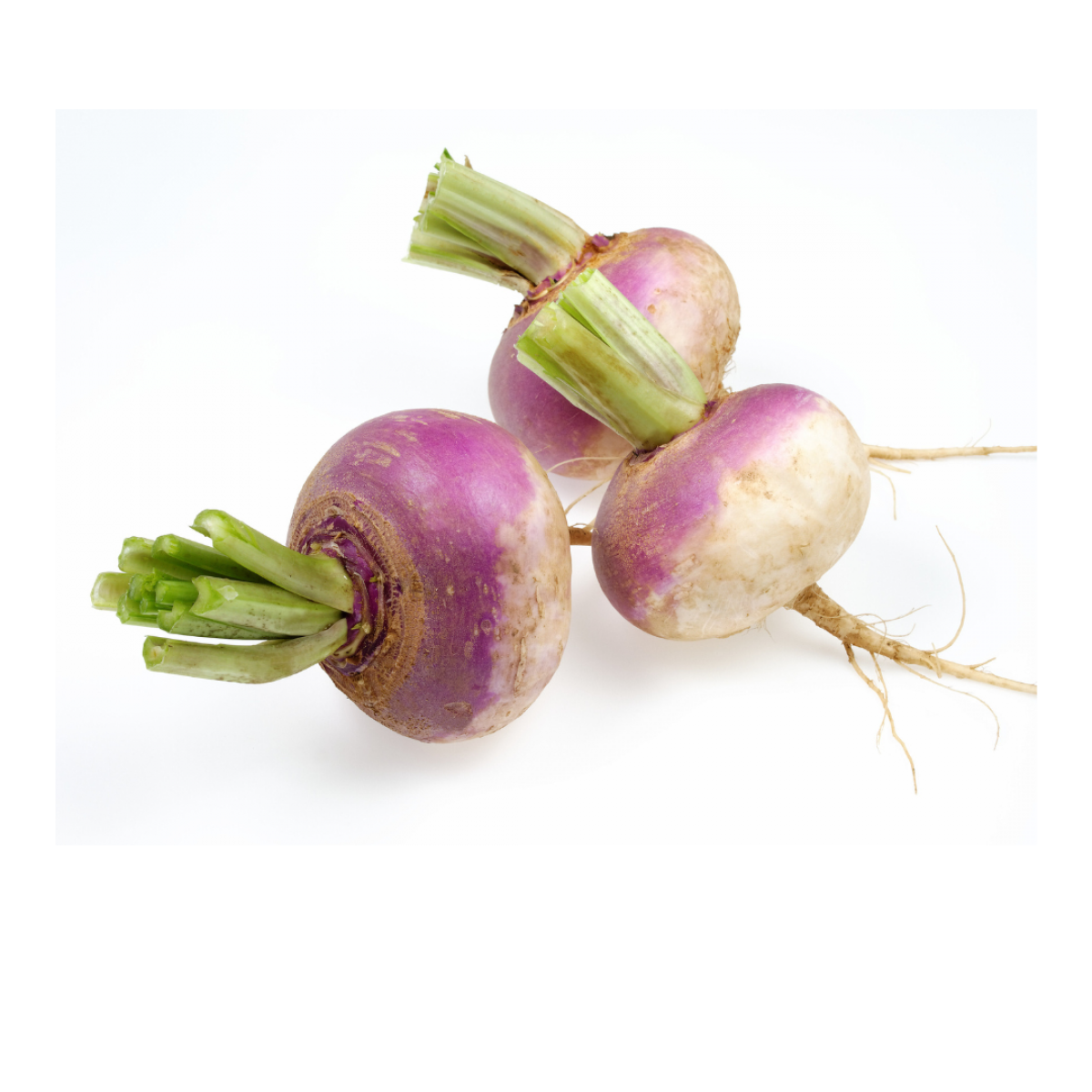 Epicerie locale proposant des navets de Normandie