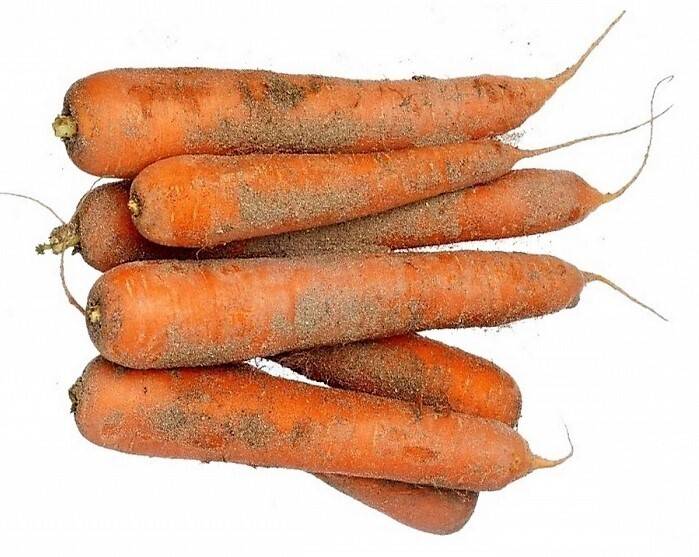 Epicerie locale proposant des carottes bio de sable Normandes