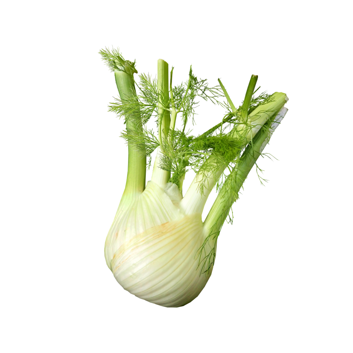 Epicerie locale proposant du fenouil 