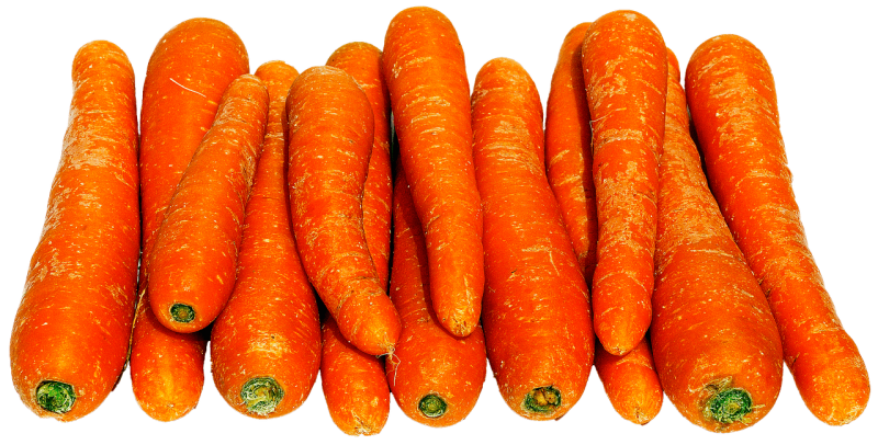 Epicerie locale proposant des carottes lavées Normandes