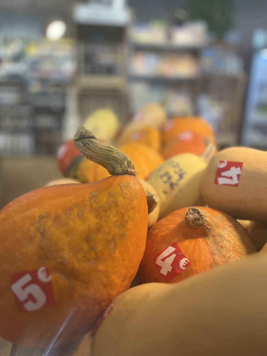 courges a petit prix sur le havre