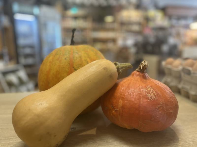 courges locales de saint martin du manoir